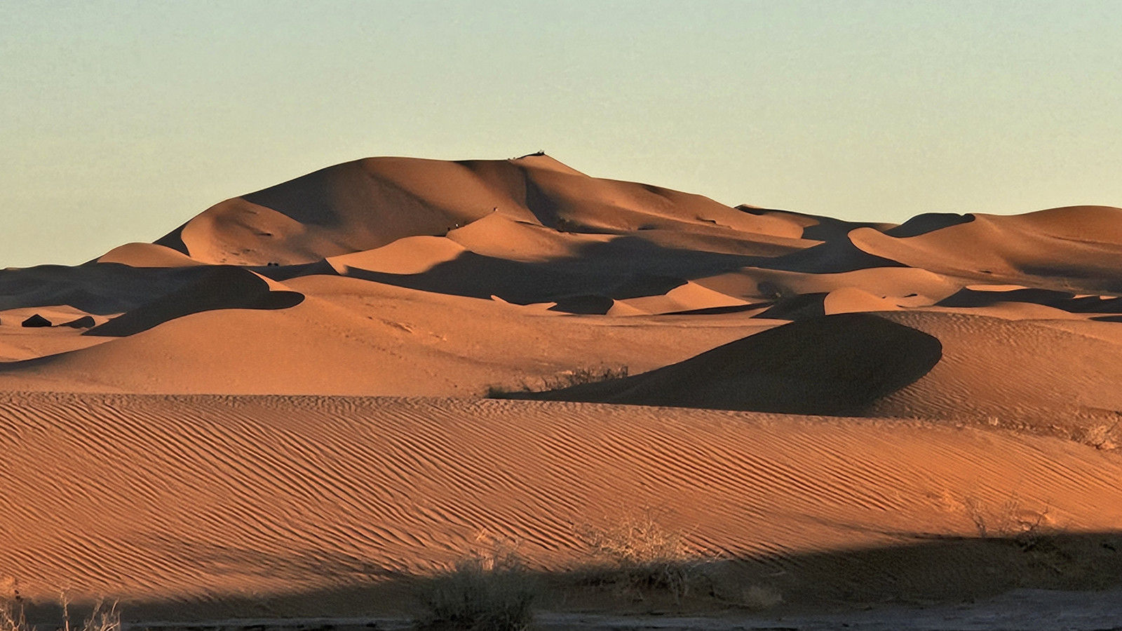 Sanddünen im Sonnenuntergang mit langen Schatten und einem klaren Himmel.